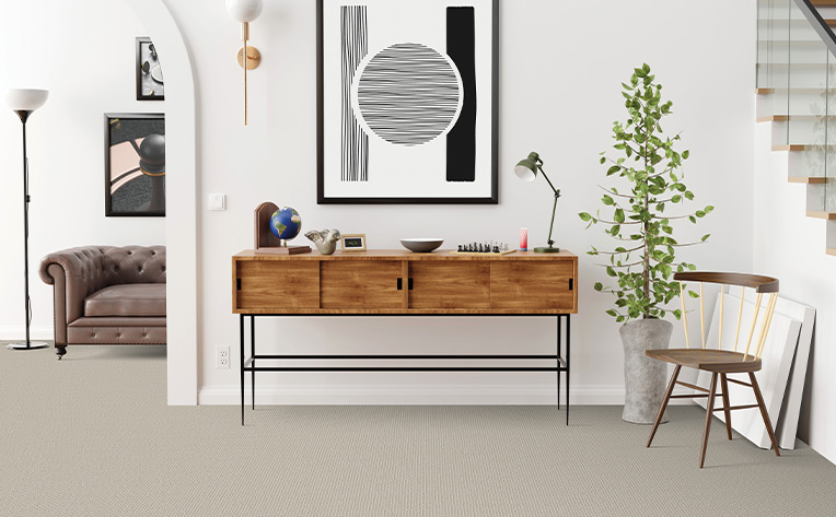 grey carpet in entryway